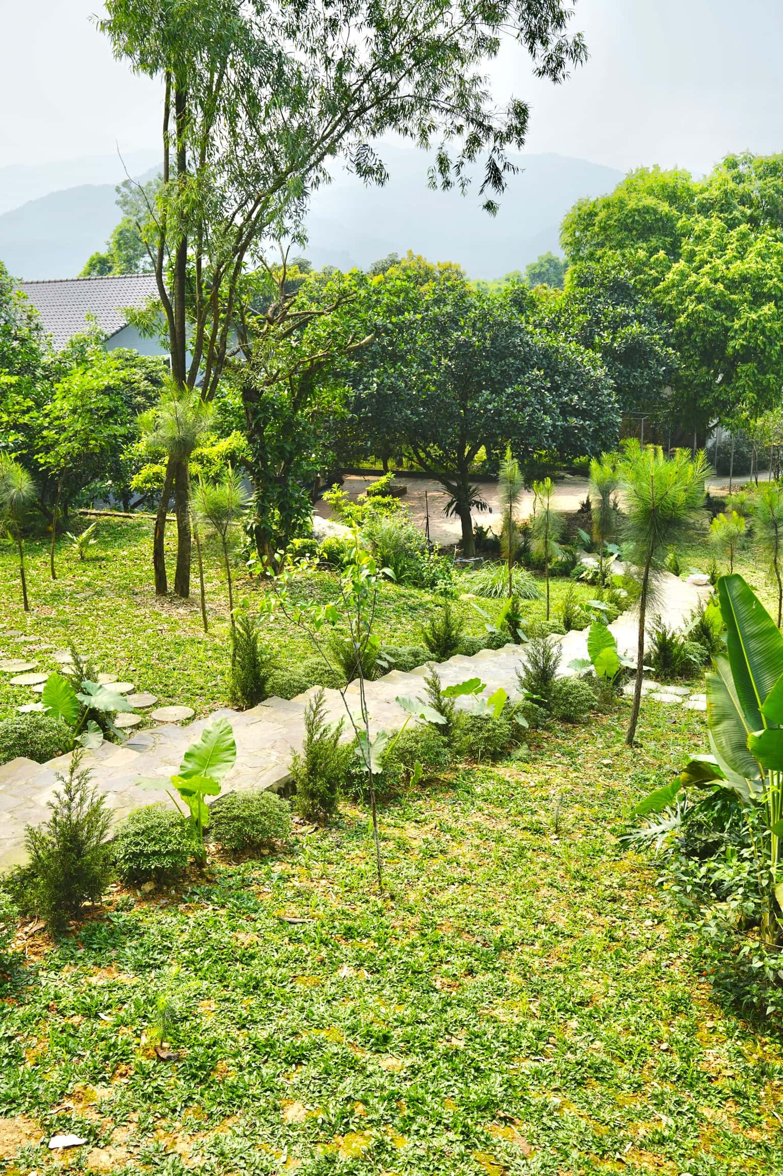 位于Nam Sơn, Sóc Sơn的Dứa House — 照片 10