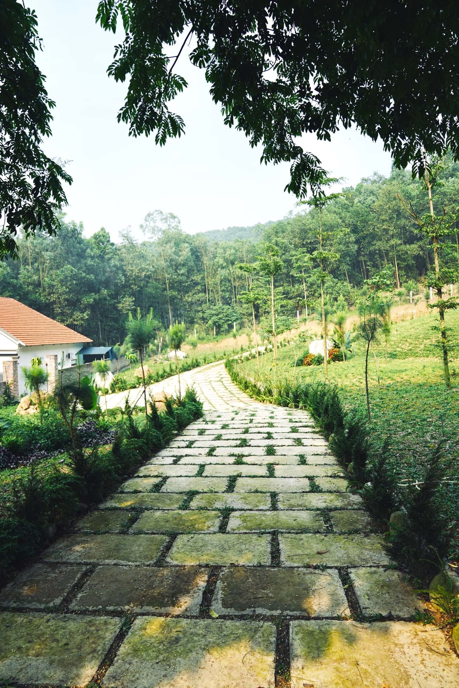 位于Nam Sơn, Sóc Sơn的Dứa House — 照片 9