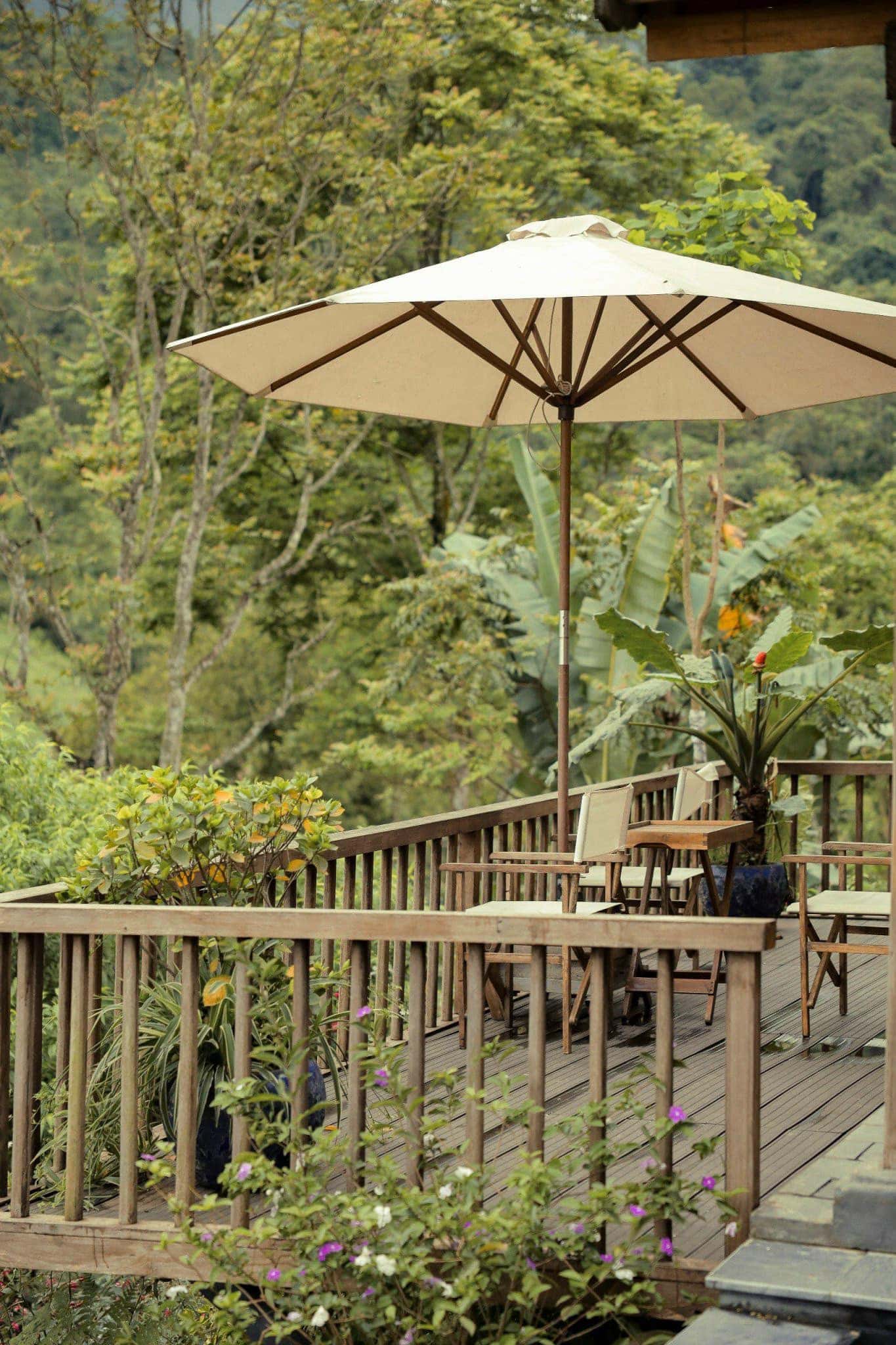 Lily's Home & Retreat, Thạch Thất — 照片 13