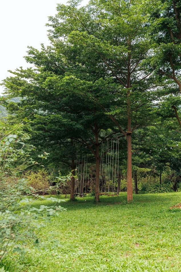 Lee Garden Villa tại Lâm Trường, Sóc Sơn — ảnh 14