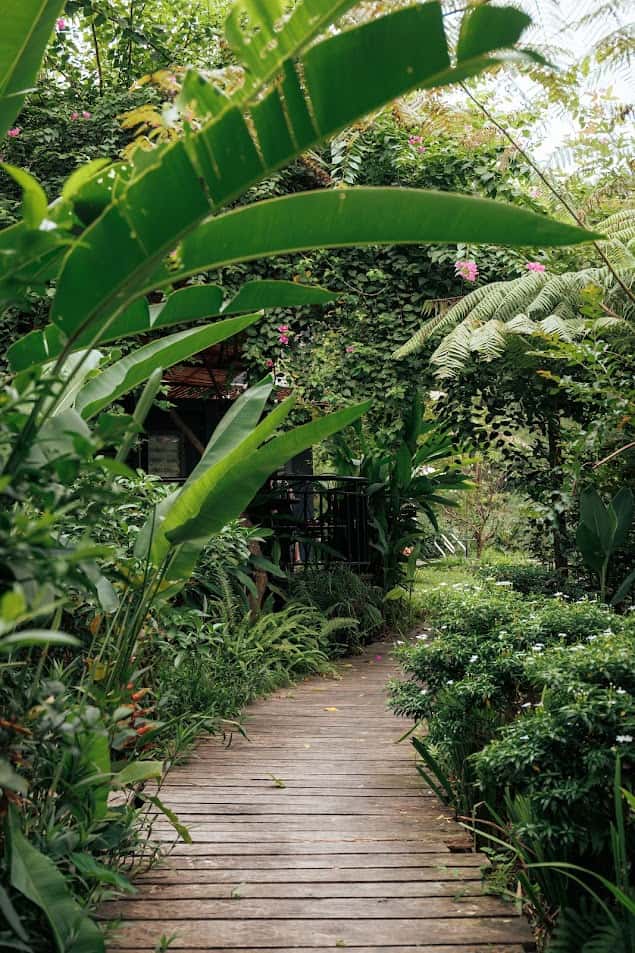 Sausau Garden (Lee Garden) in Lâm Trường, Sóc Sơn — photo 11