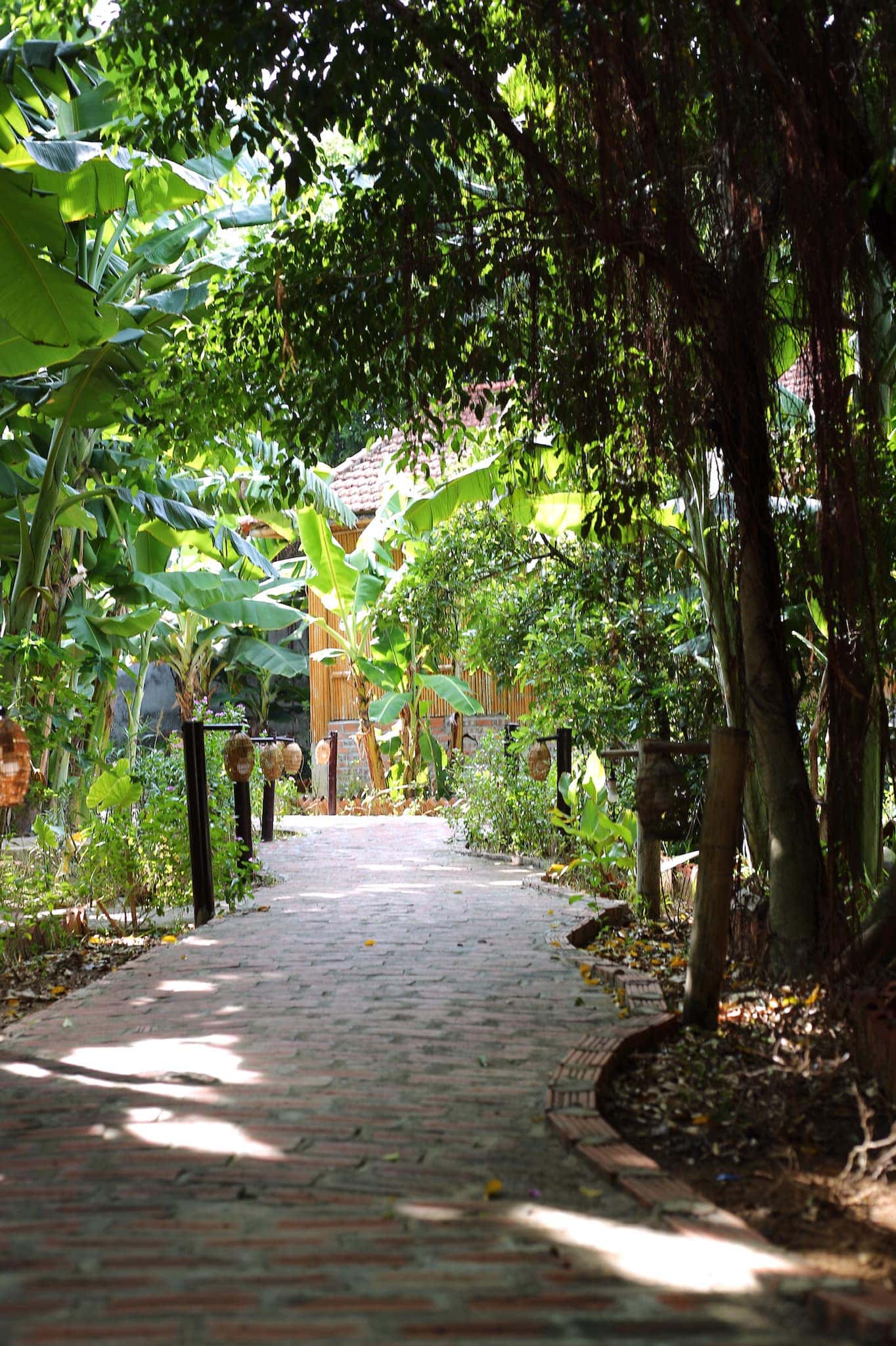 justfly ham rong homestay ninh binh