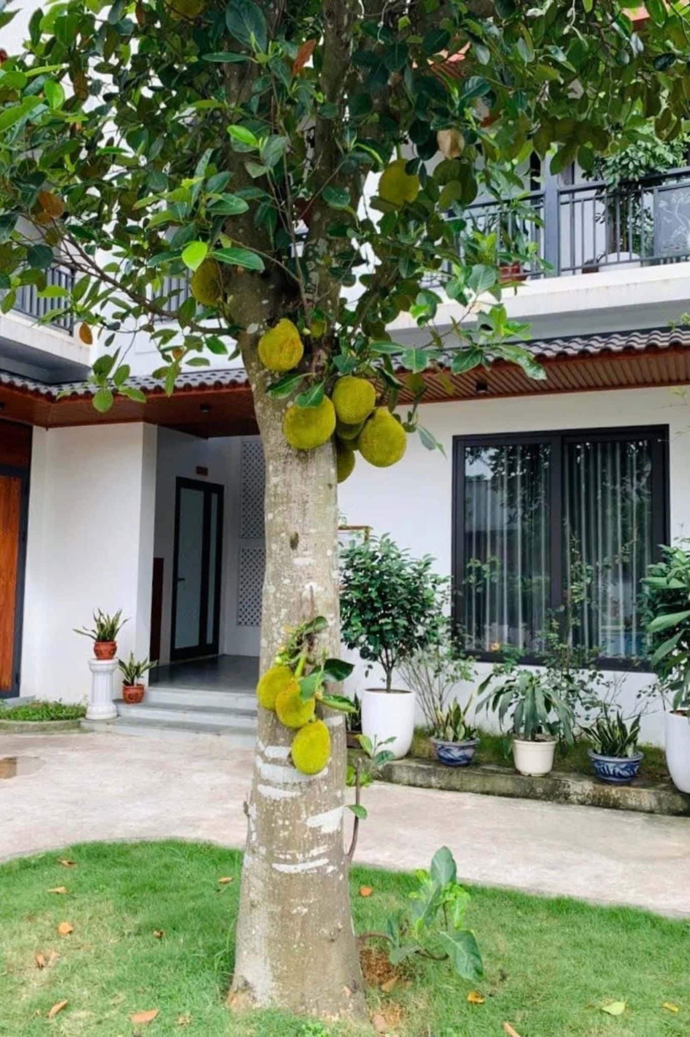 Akira Villa tại Vân Hòa, Ba Vì — ảnh 14