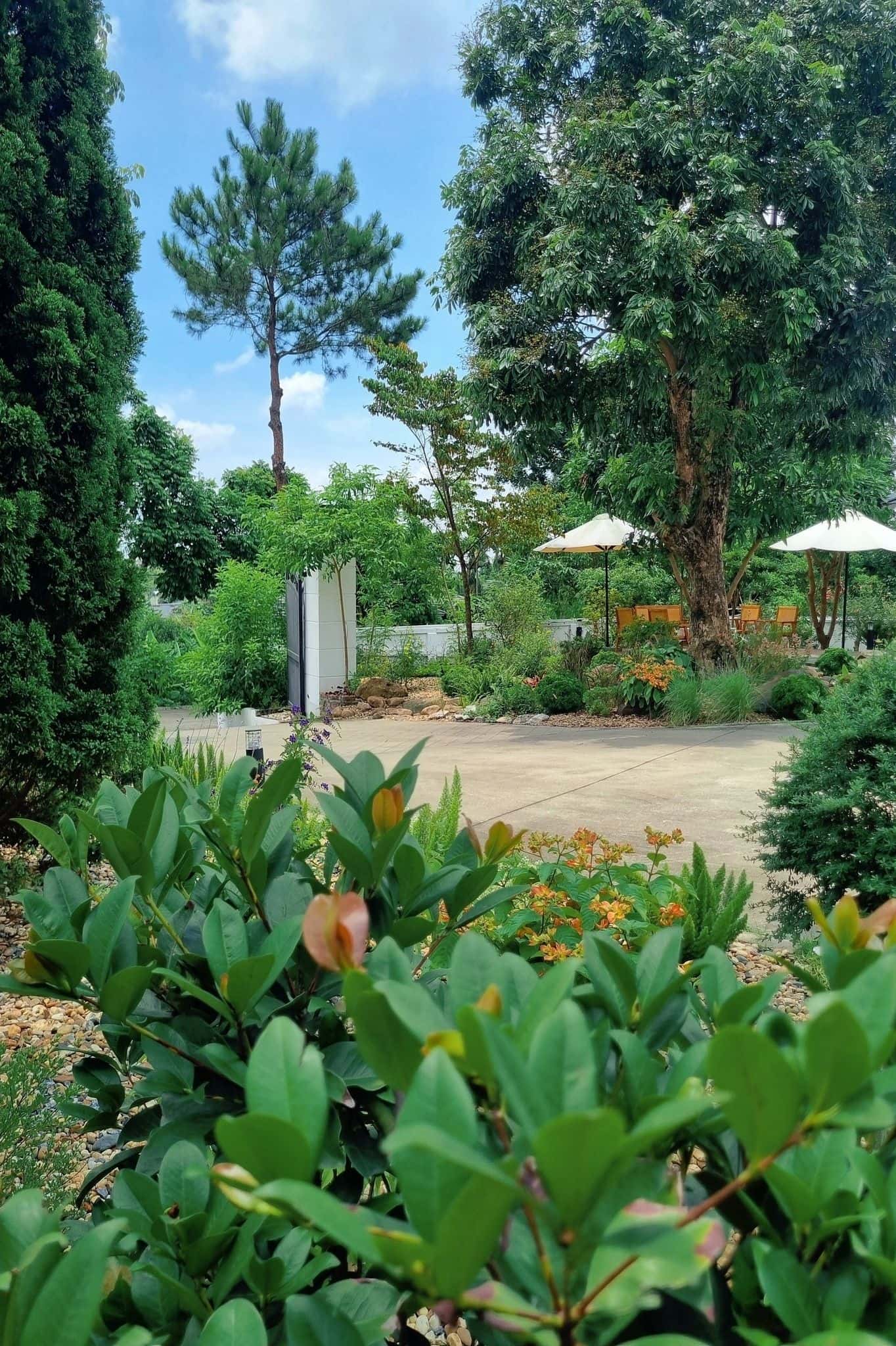 Adela Home Villa tại Yên Bài, Ba Vì — ảnh 4