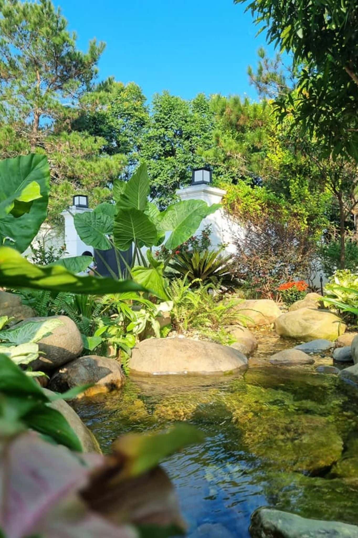 Adela Home Villa tại Yên Bài, Ba Vì — ảnh 6