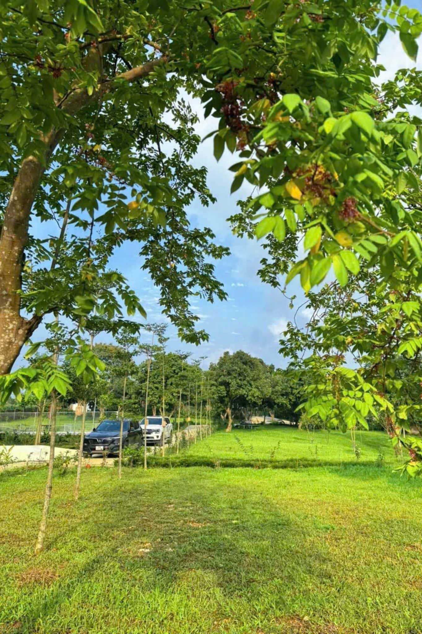 Mountain Villa tại Ba Trại, Ba Vì — ảnh 8