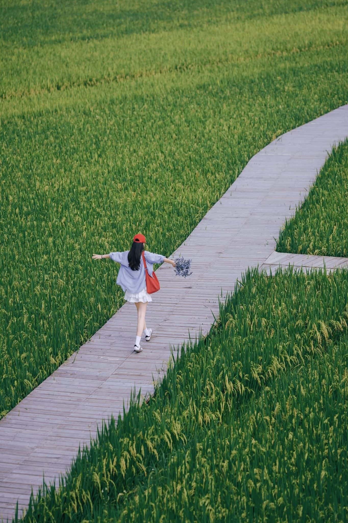 风筝房Diều Sao (Diều Sóc Sơn)位于Bắc Sơn, Sóc Sơn — 照片 28