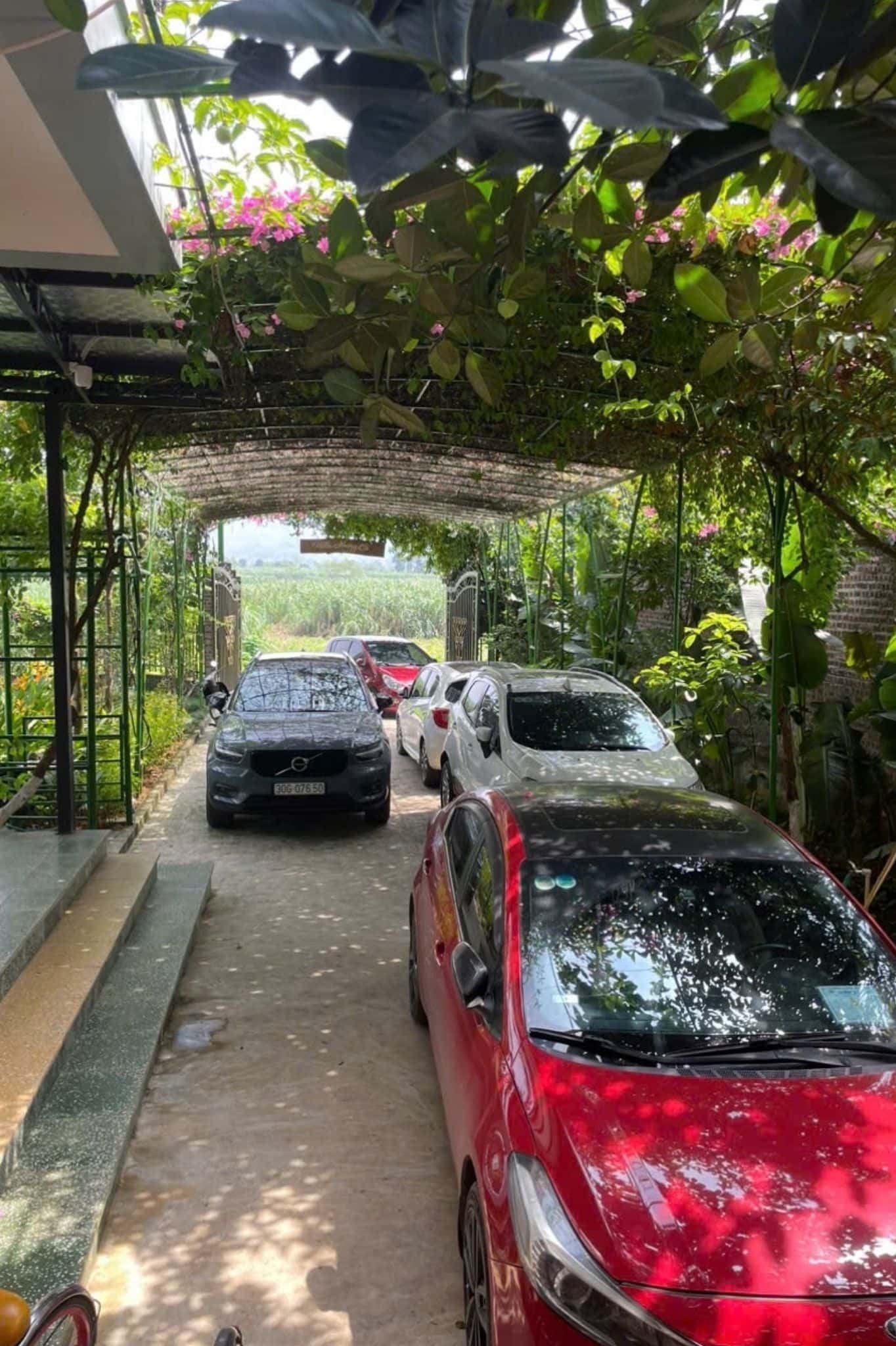 位于 Vân Hòa、Ba Vì 的 Hương Cỏ Villa — 照片 43
