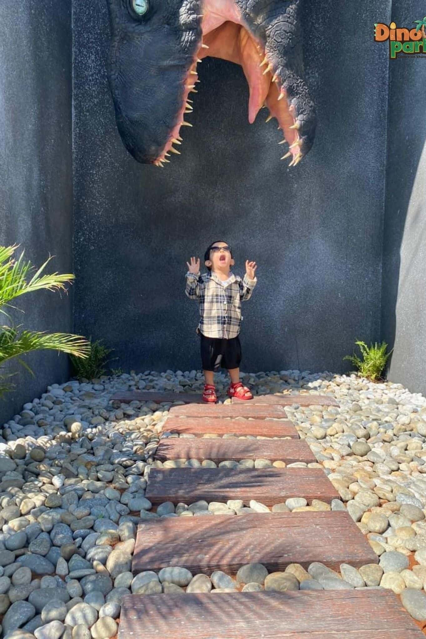 Công Viên Khủng Long Dino Park — ảnh 8