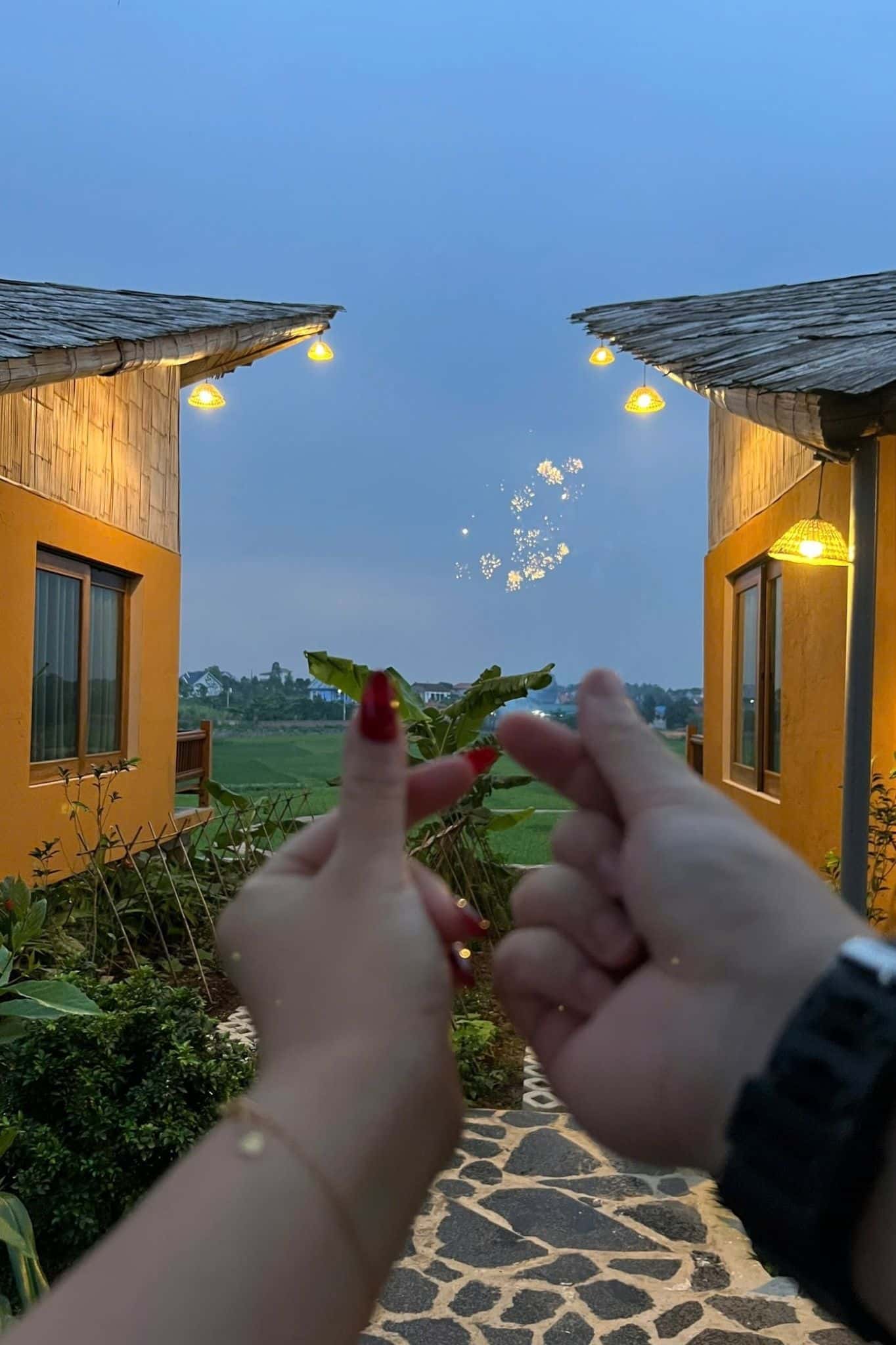 Diều Phượng Hoàng property (Diều Sóc Sơn) in Bắc Sơn, Sóc Sơn — photo 7