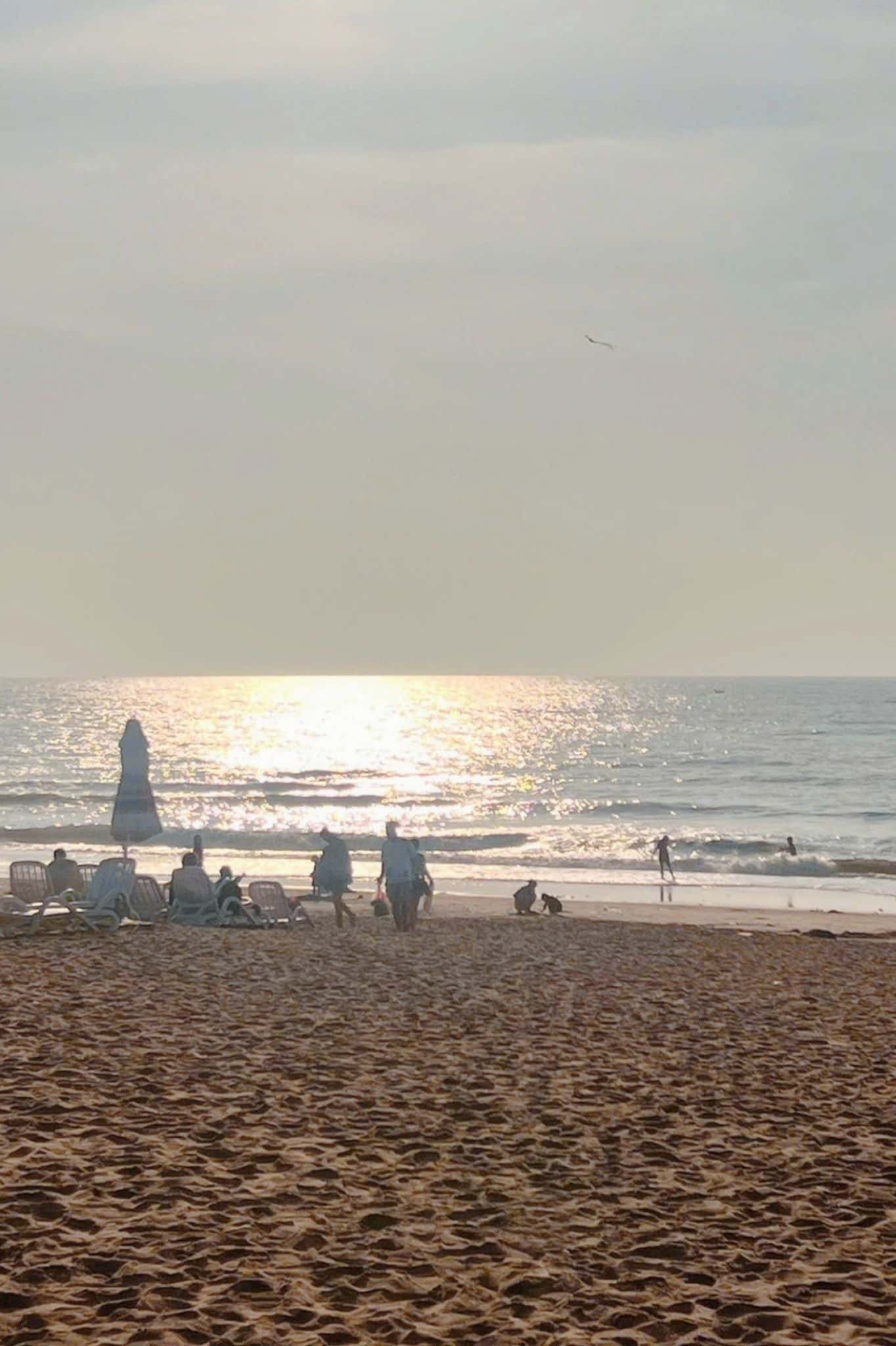 Bikini Beach Phan Thiết — photo 16