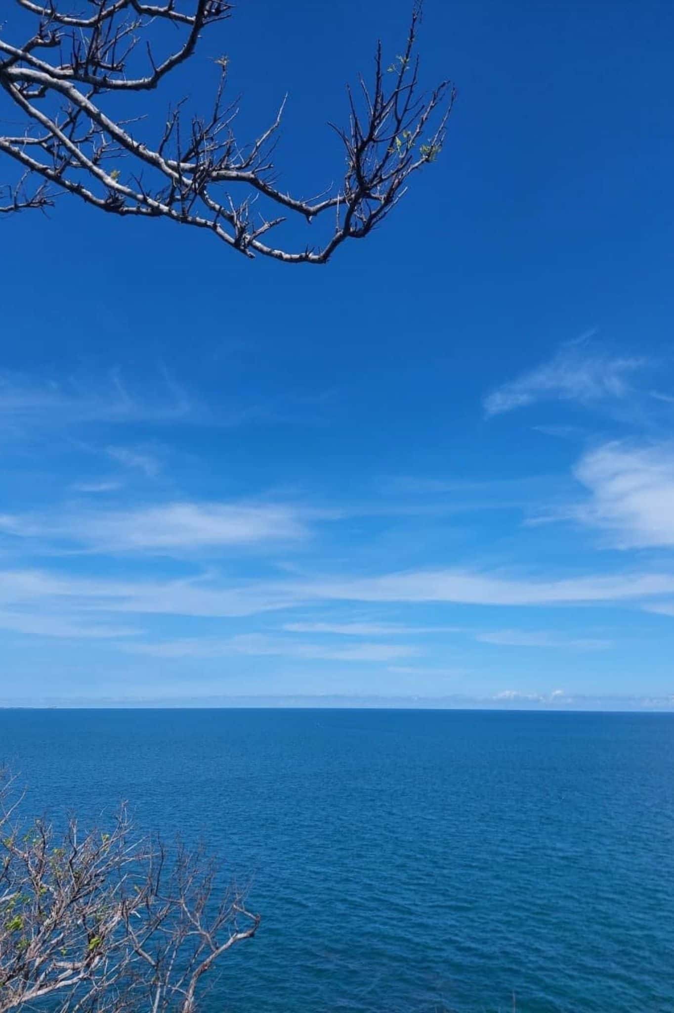 Bãi Biển Đồi Dương — ảnh 5