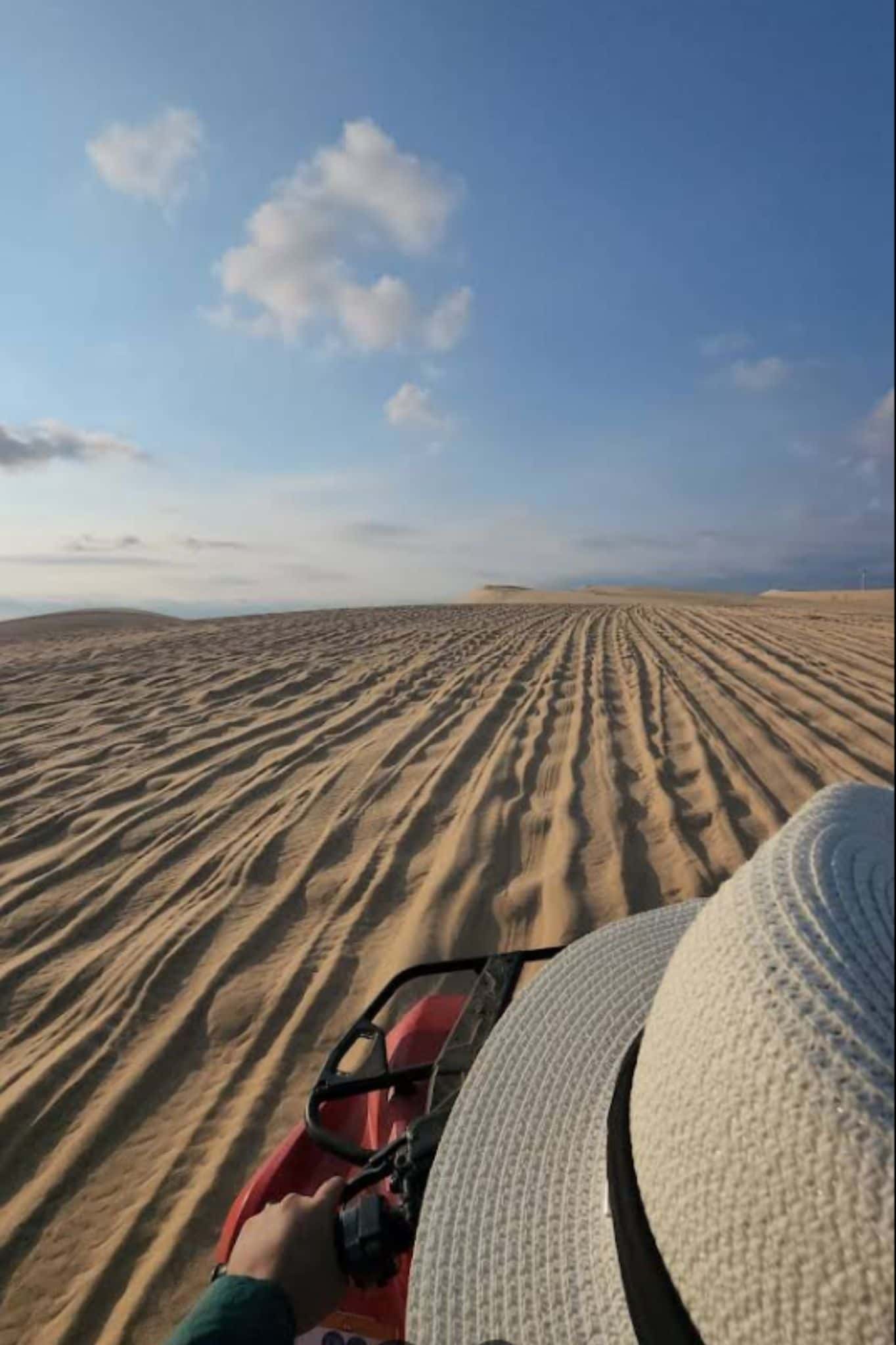Bàu Trắng - Bàu Sen (White Sand Dunes) — photo 5