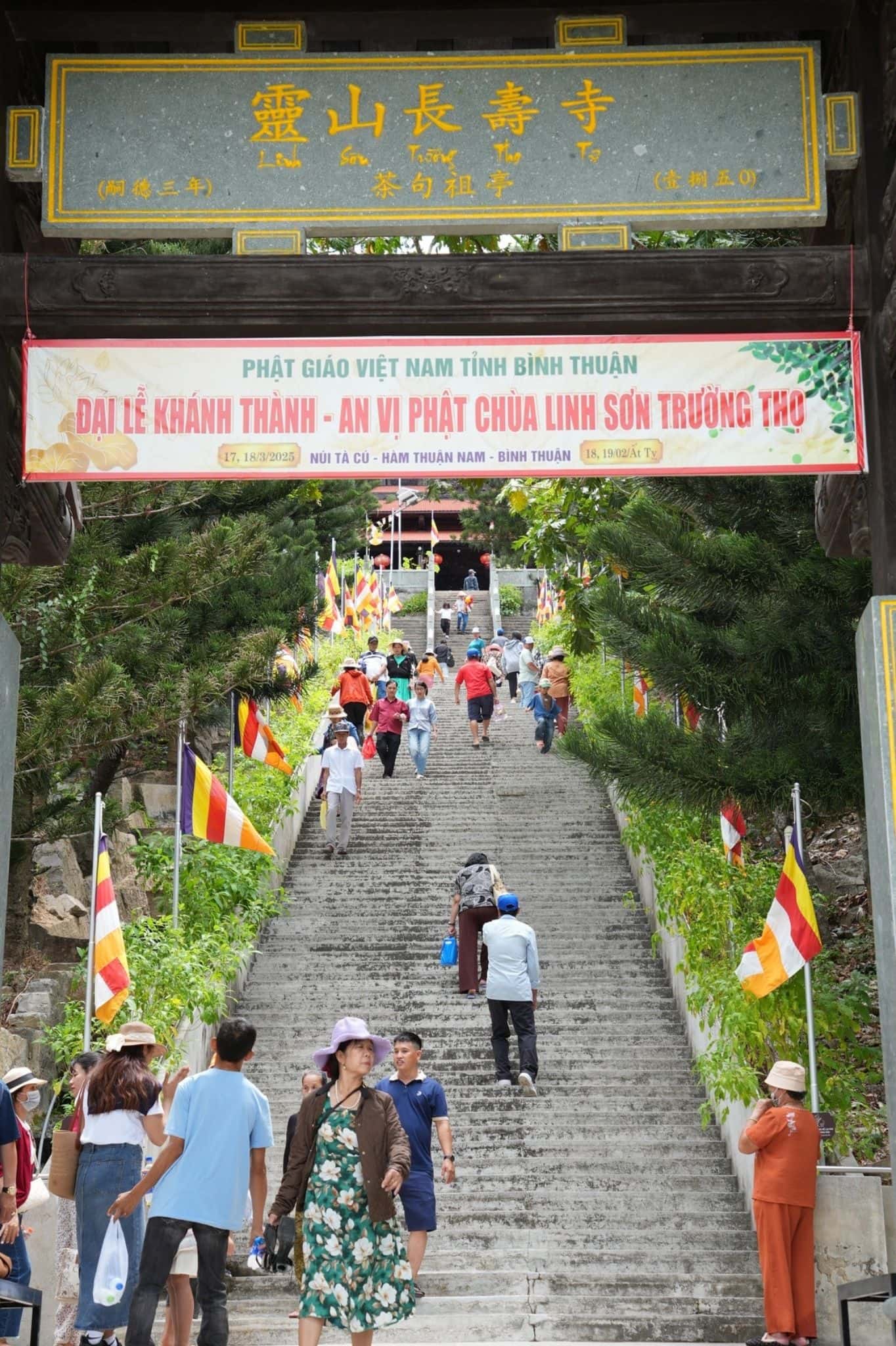 Núi Tà Cú — ảnh 41
