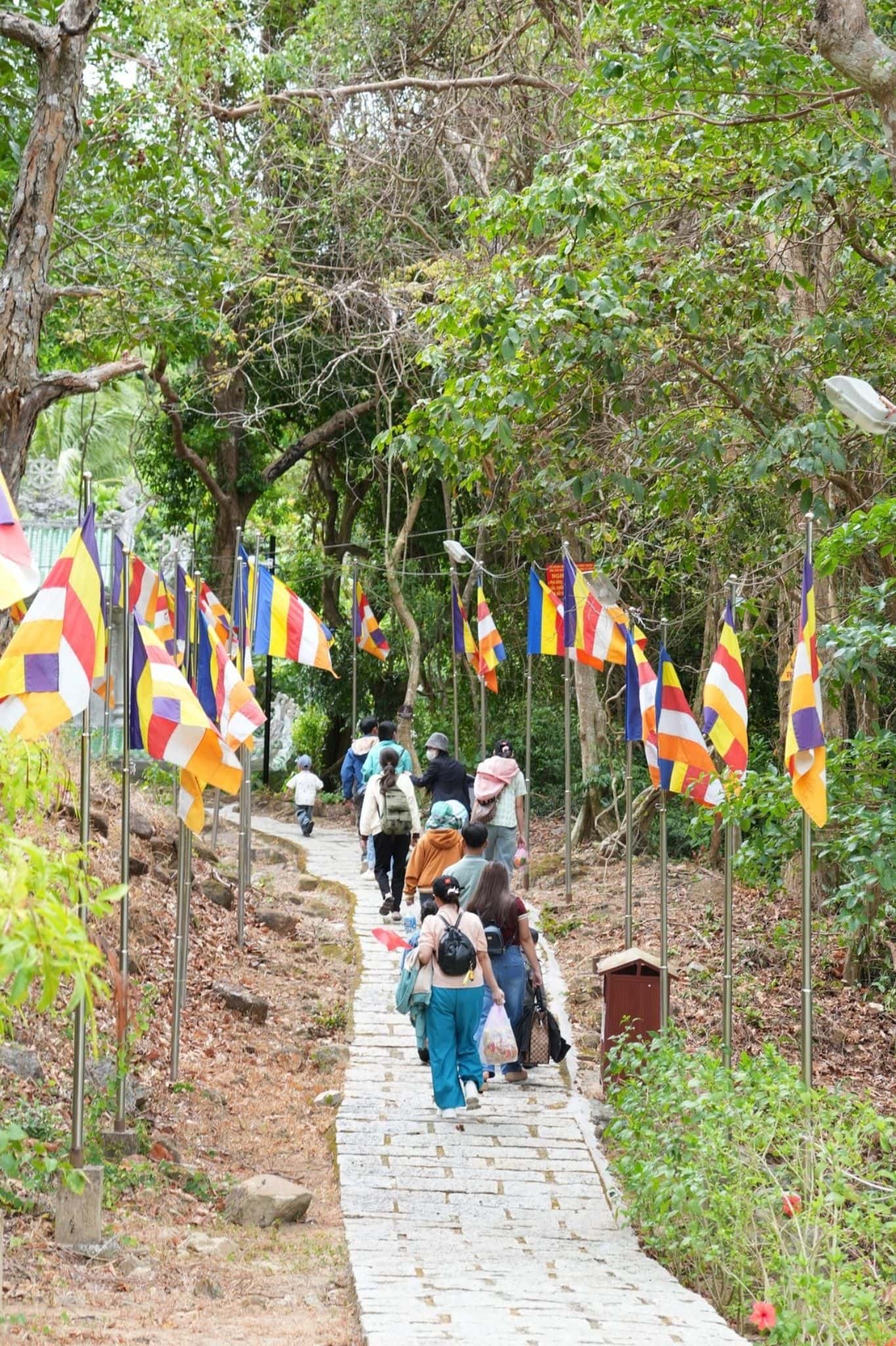 Núi Tà Cú — ảnh 42