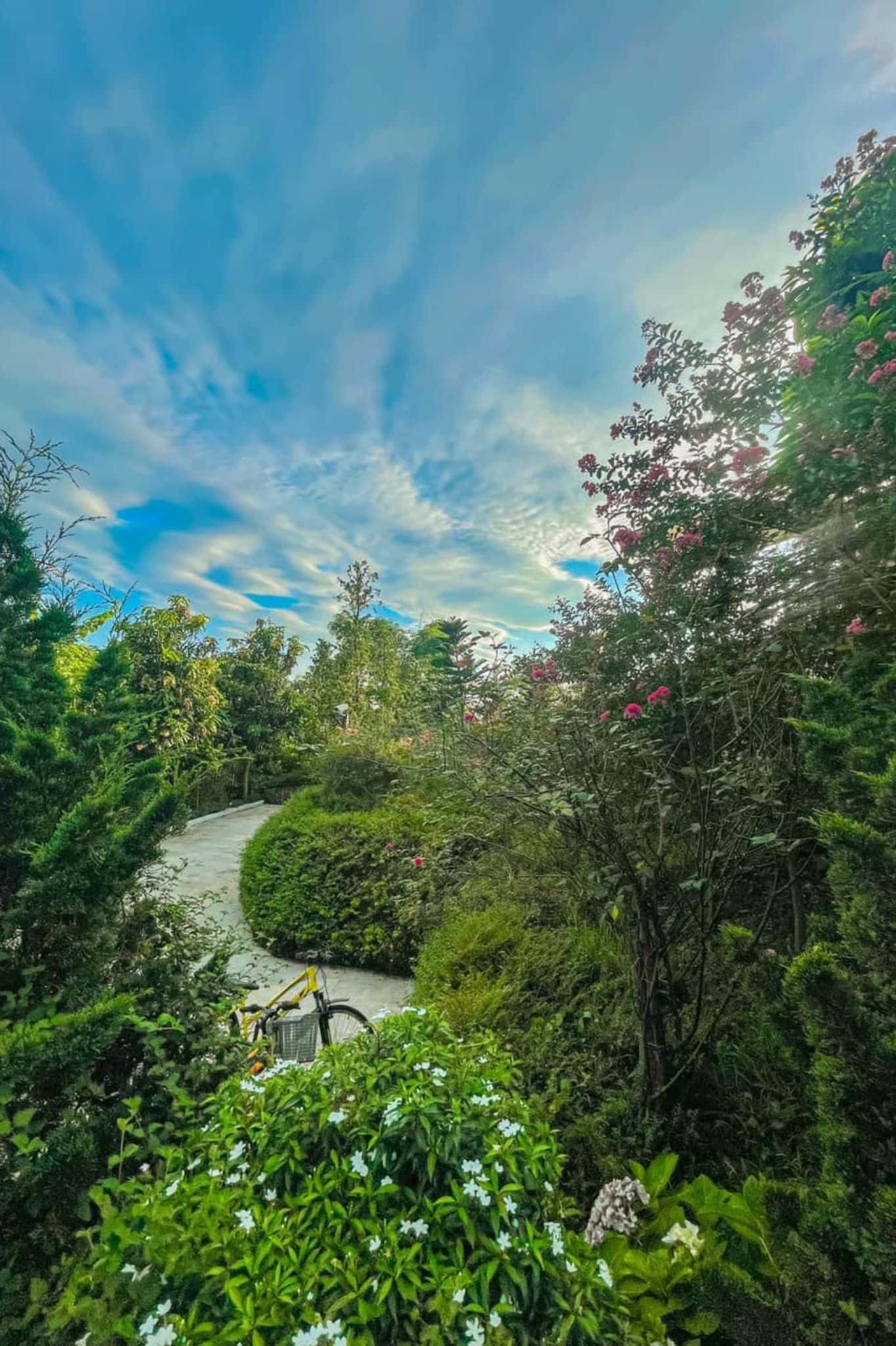 Sam Villa tại Yên Bài, Ba Vì — ảnh 20