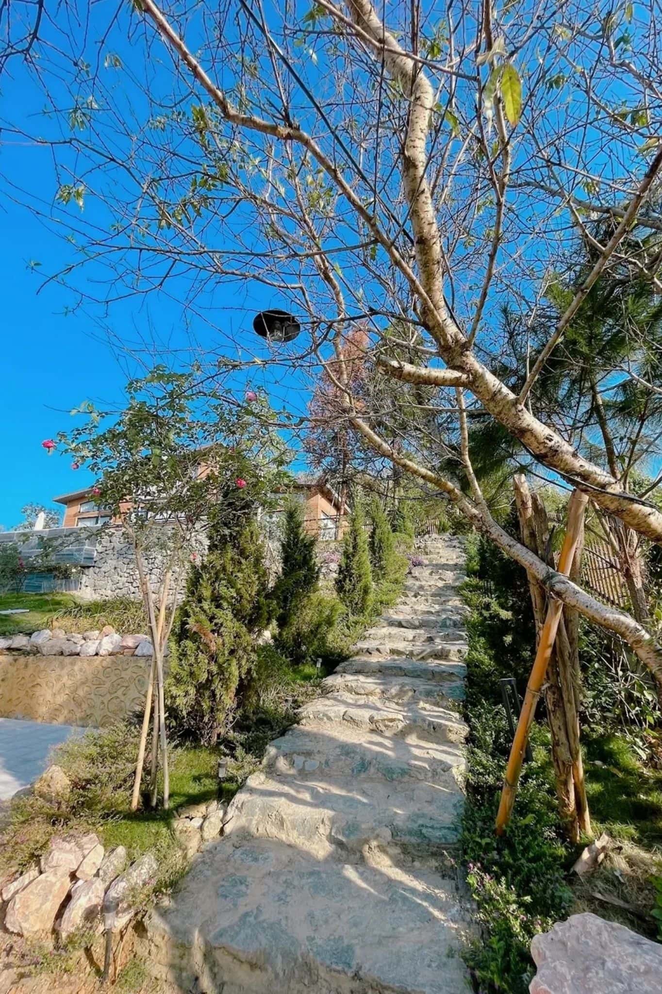 Sam Villa tại Yên Bài, Ba Vì — ảnh 17
