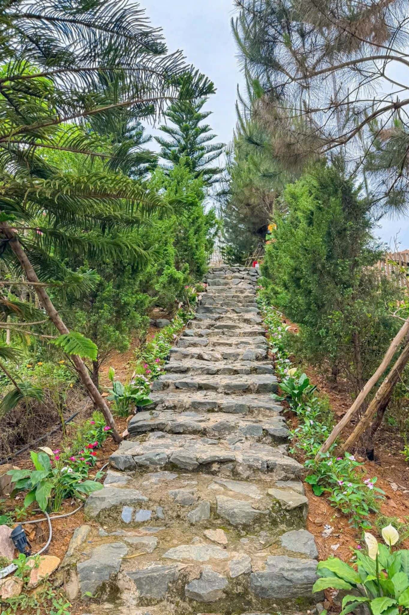 Sam Villa tại Yên Bài, Ba Vì — ảnh 18