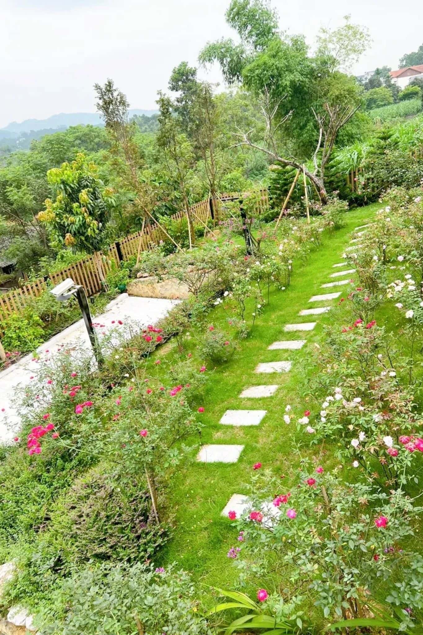 Sam Villa tại Yên Bài, Ba Vì — ảnh 15