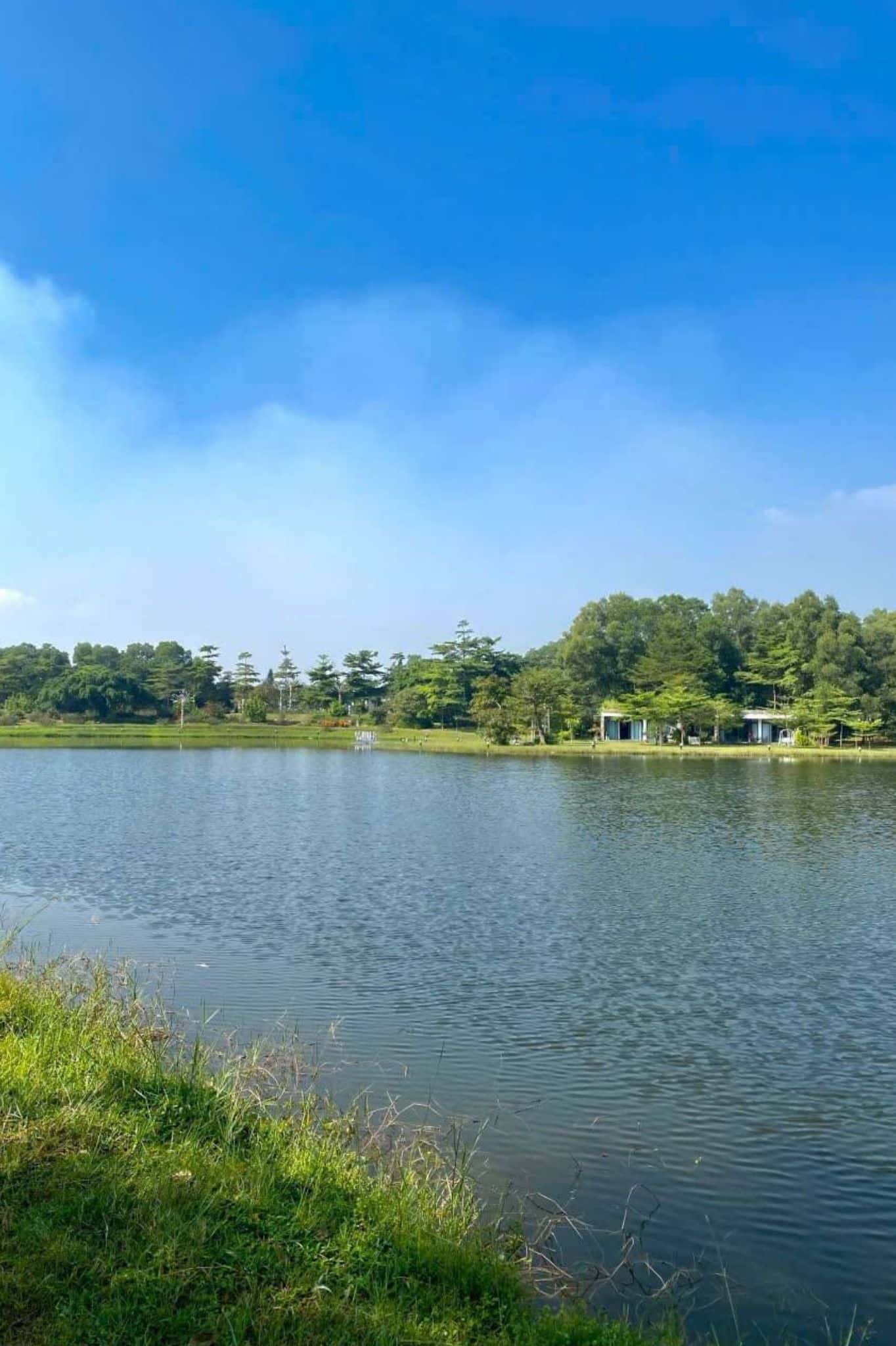 Hồ Bách Thanh Đại Lải — ảnh 6