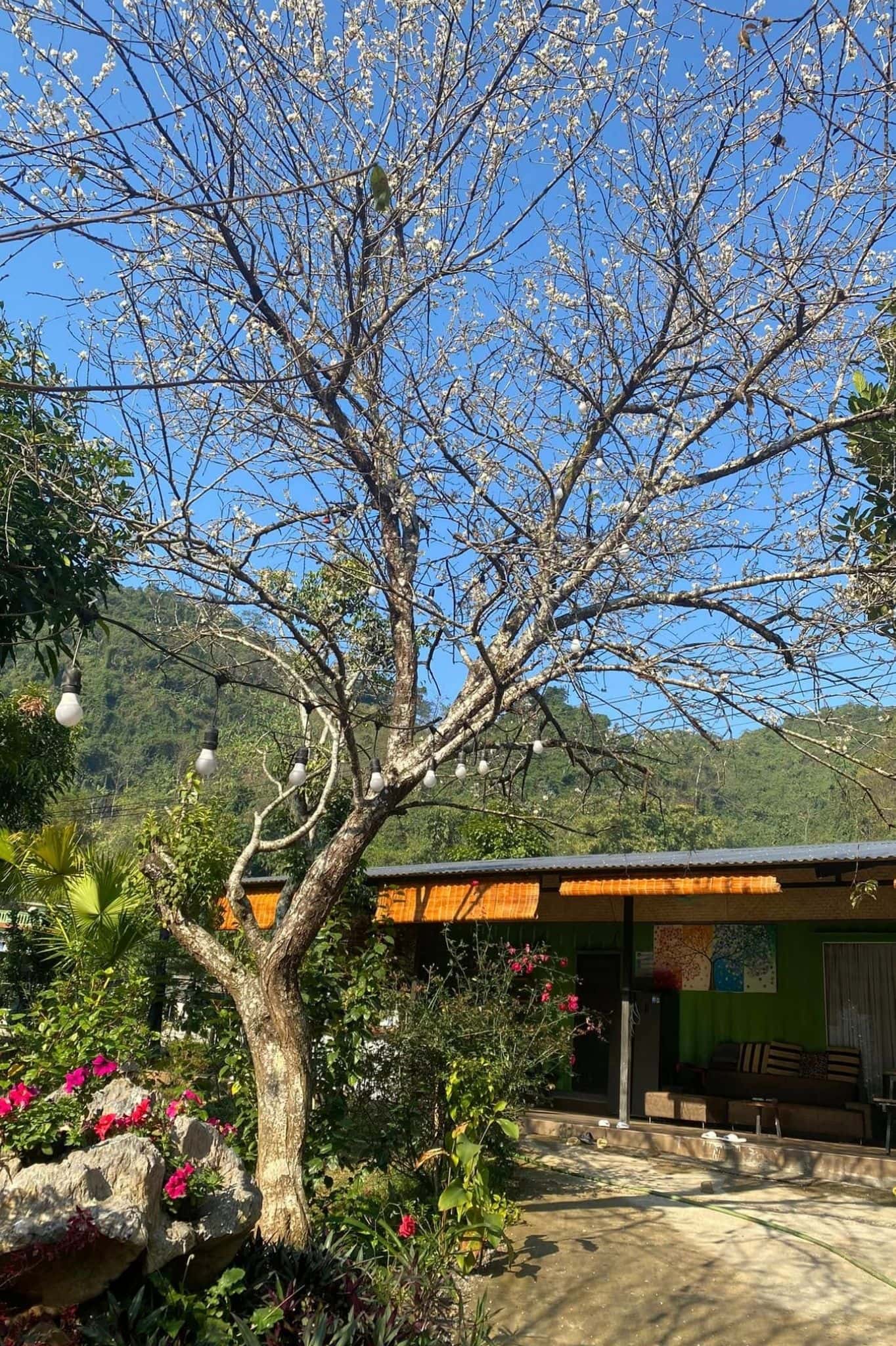 Mộc Miên Retreat tại Kim Bôi, Hòa Bình — ảnh 11