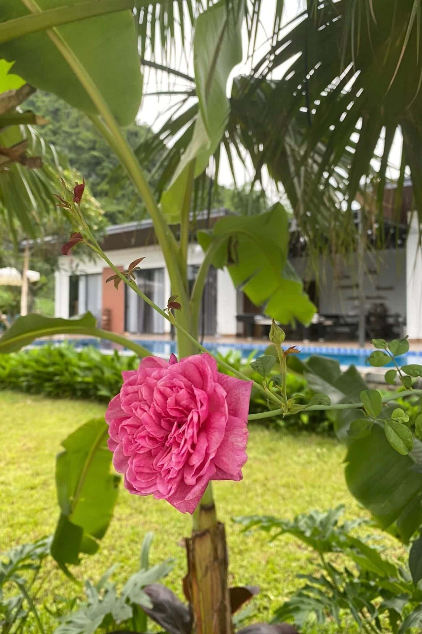 Nhà Bên Vườn (Mộc Miên Retreat) tại Kim Bôi, Hòa Bình — ảnh 12