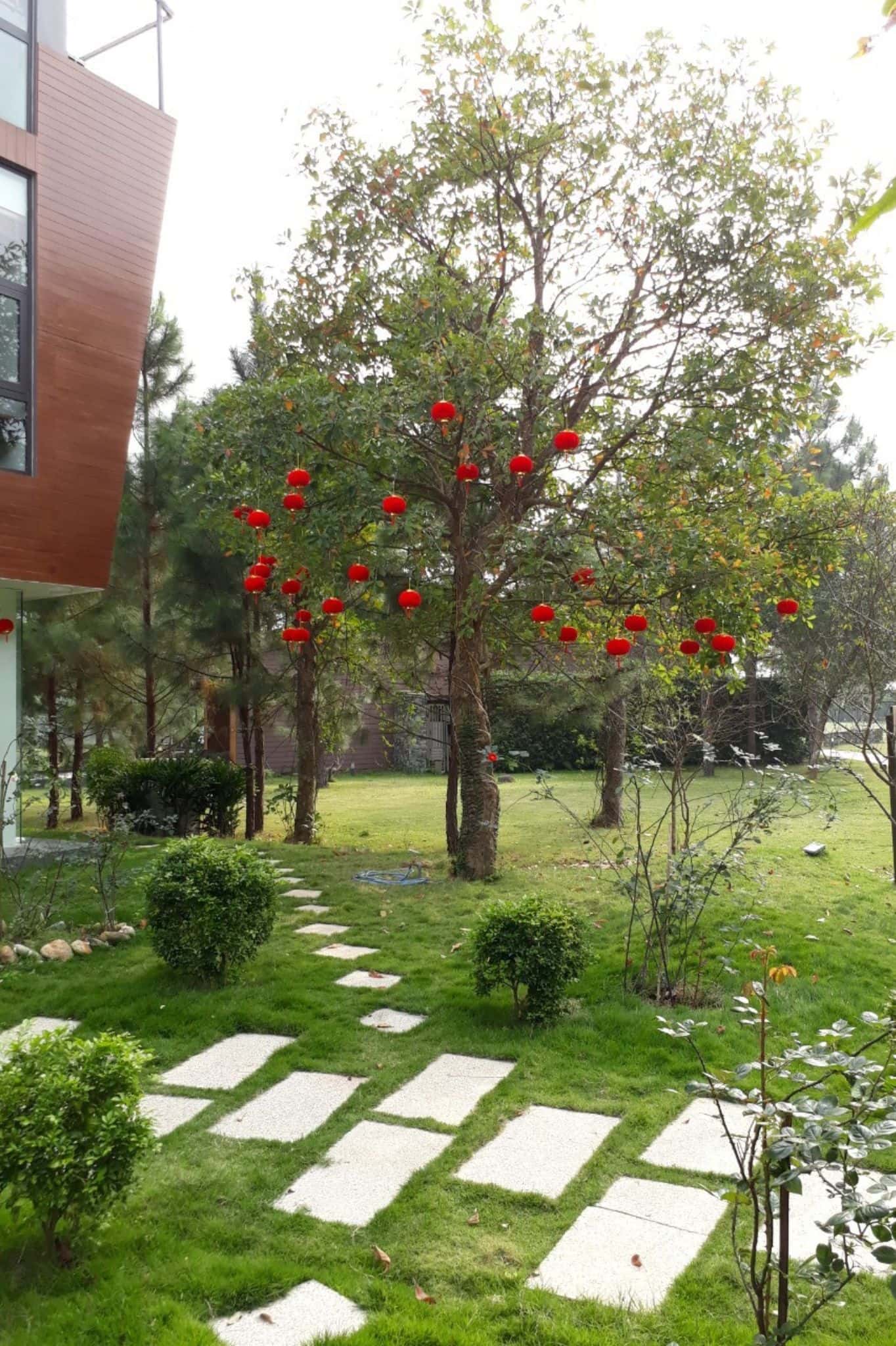 Villa B134, Flamingo Đại Lải — ảnh 10