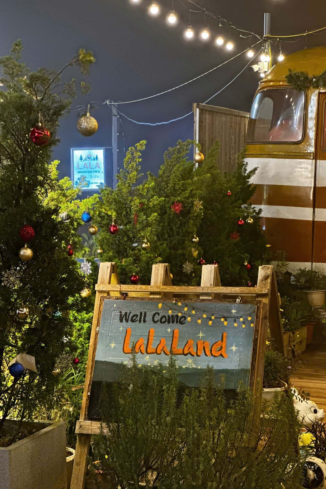 Lala Land Tam Đảo — ảnh 42