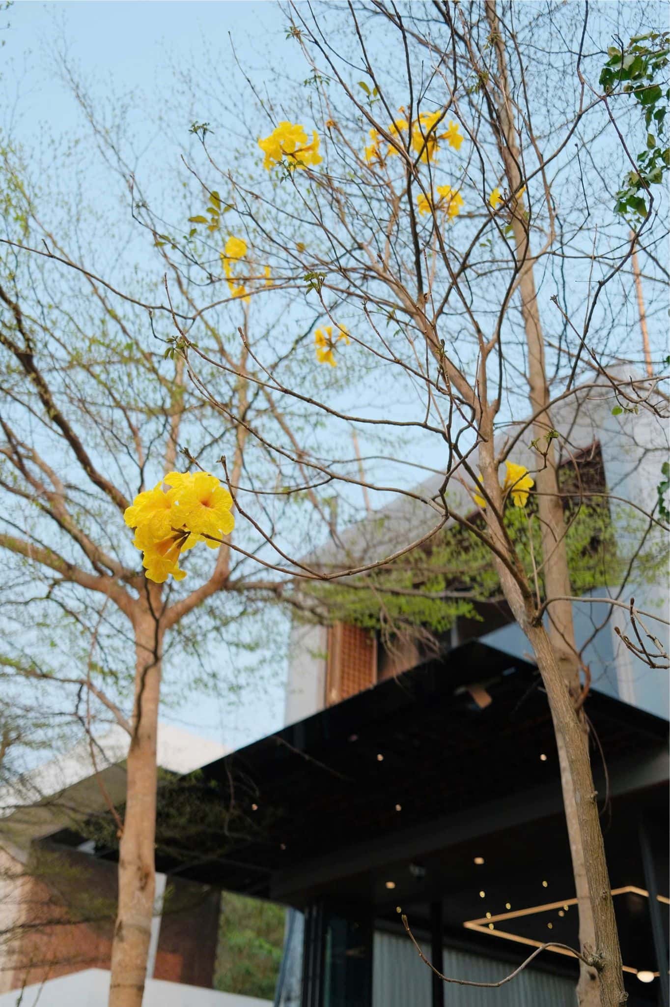 Villa F3.12A, Venus Đại Lải — 照片 42