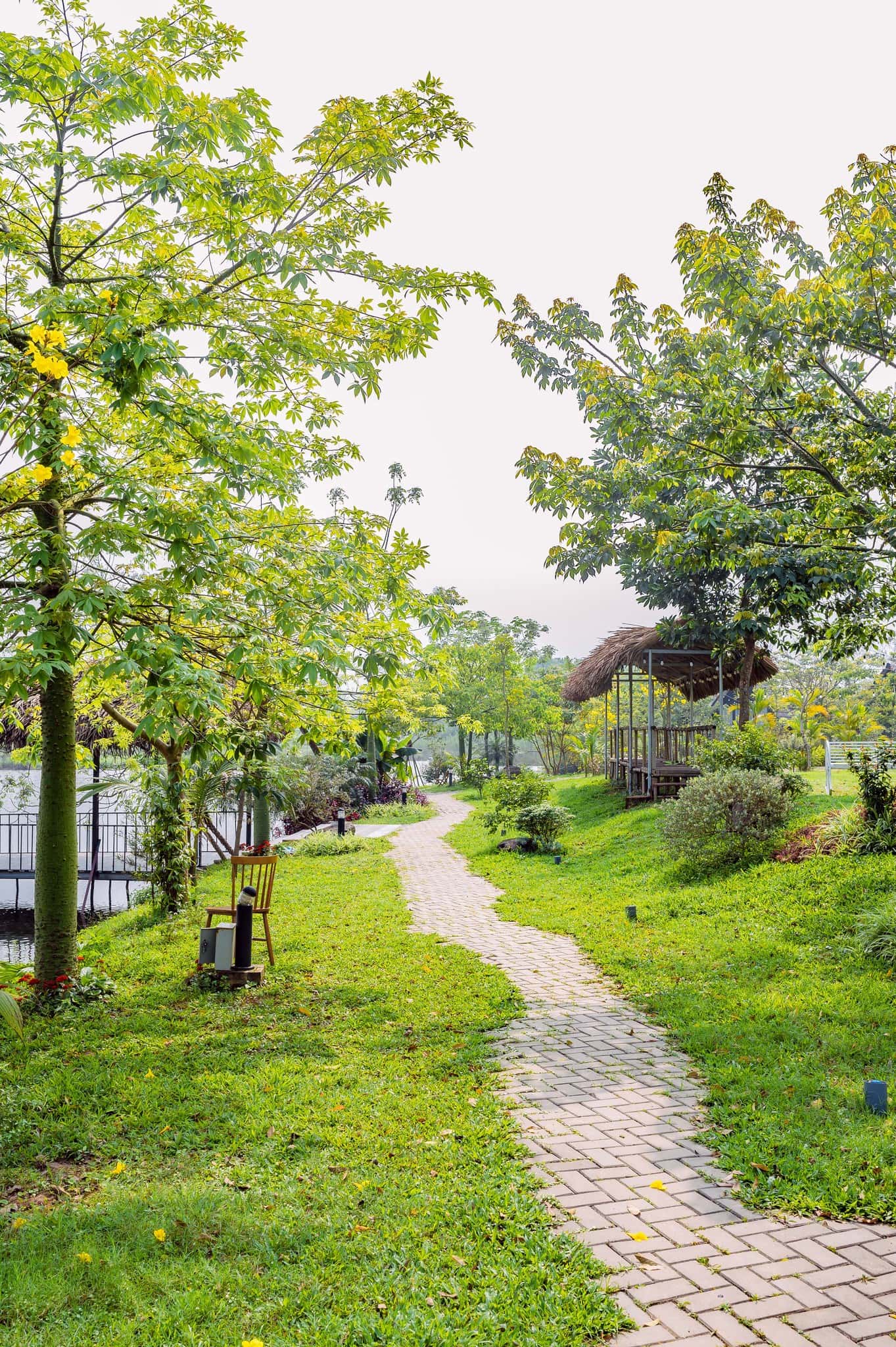lotus villa ba vi 