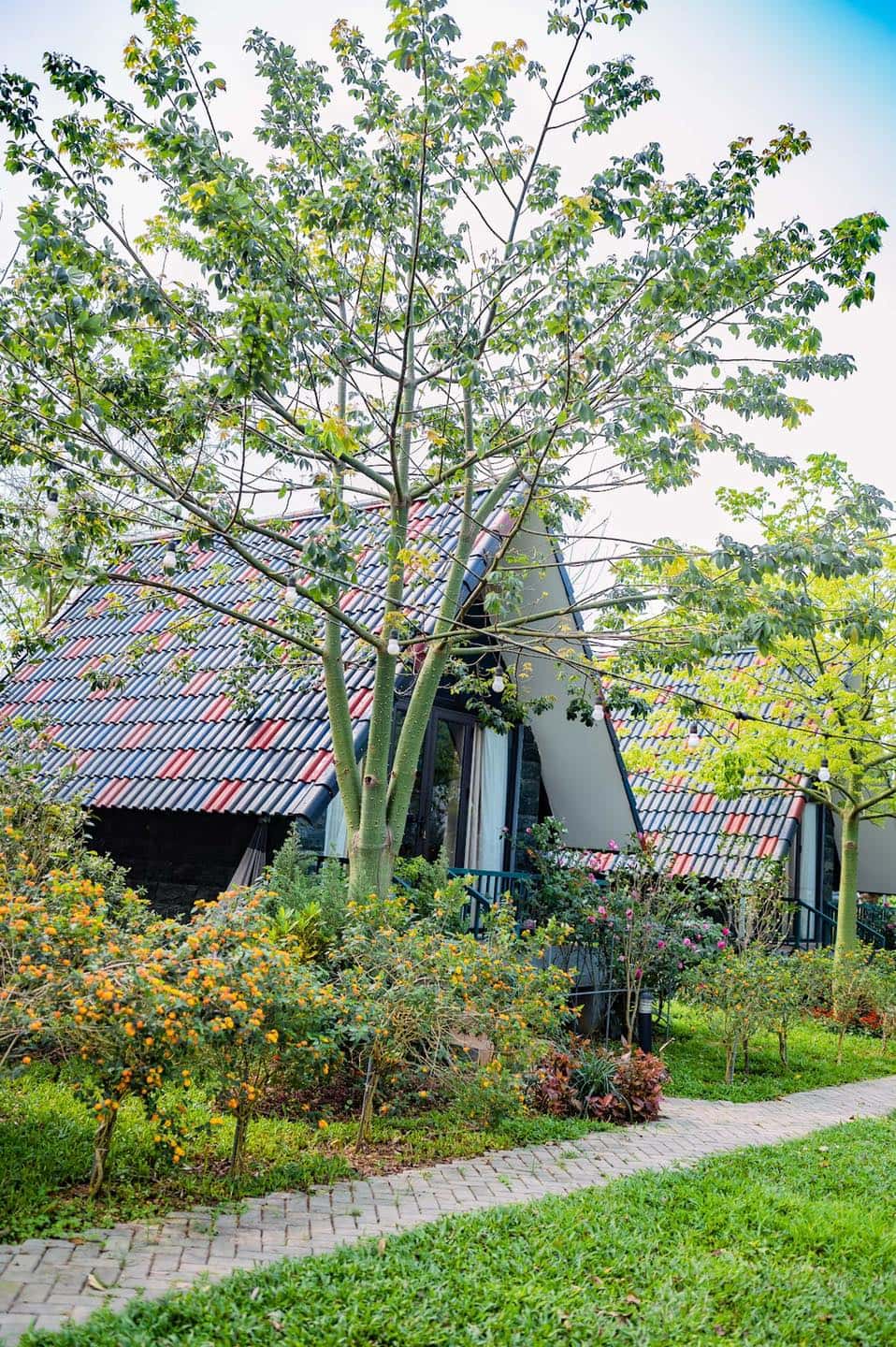 bungalow sen villas ba vi ha noi