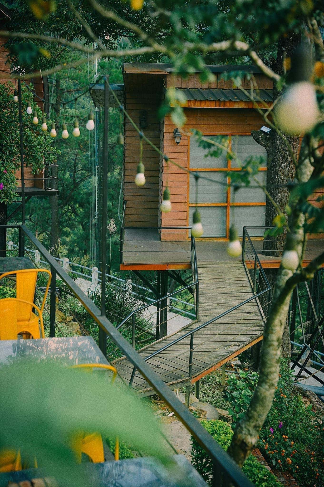 Tree House - Chillout Village, Tam Đảo — 照片 10