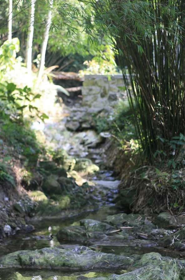 chua dia nguc tam dao vinh phuc
