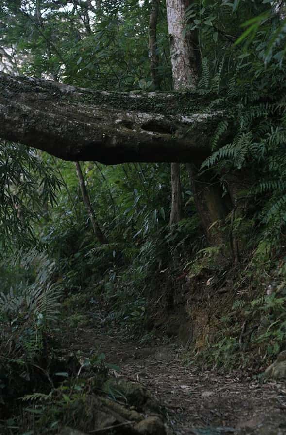 chua dia nguc tam dao vinh phuc