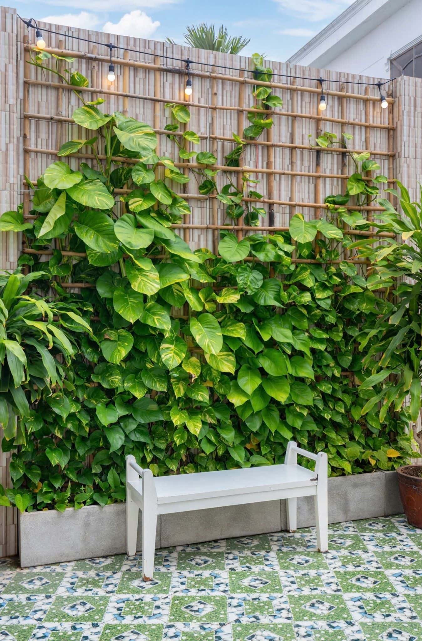 Tứ Hùng Villa 10/2A Lạc Long Quân, Vũng Tàu — ảnh 26