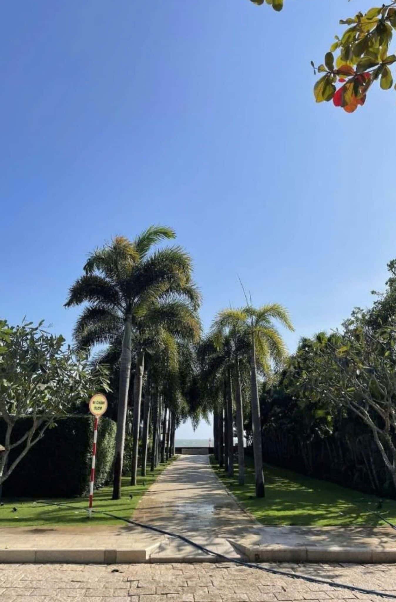 Villa 96（河景）- Sanctuary Hồ Tràm, Vũng Tàu — 照片 25