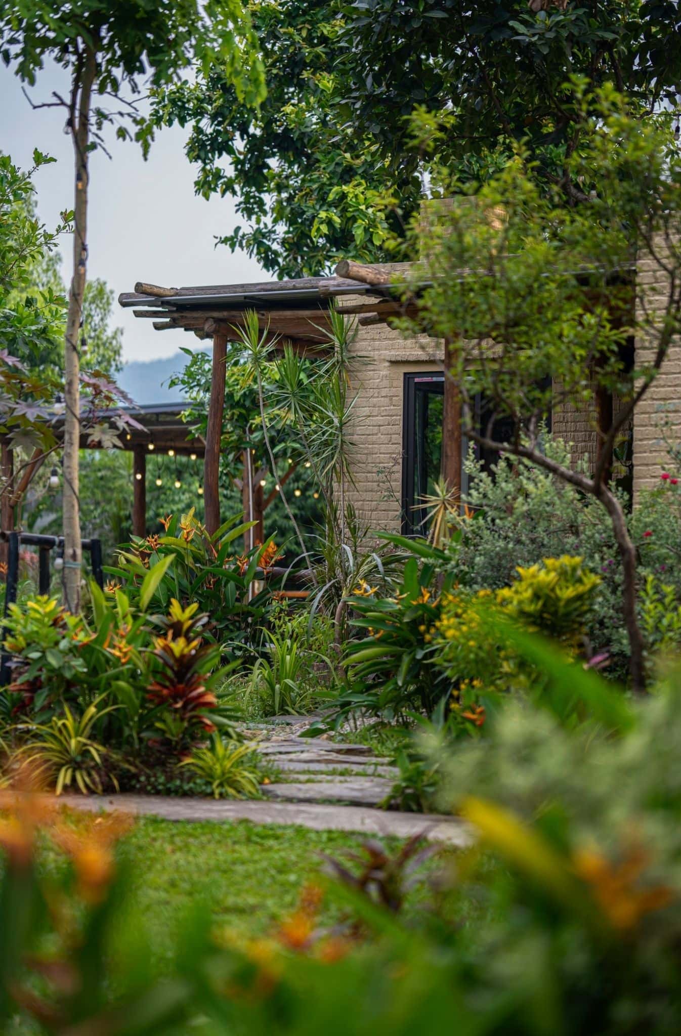 Combo 3 Wynn Bungalow Garden tại Vân Hòa, Ba Vì — ảnh 13
