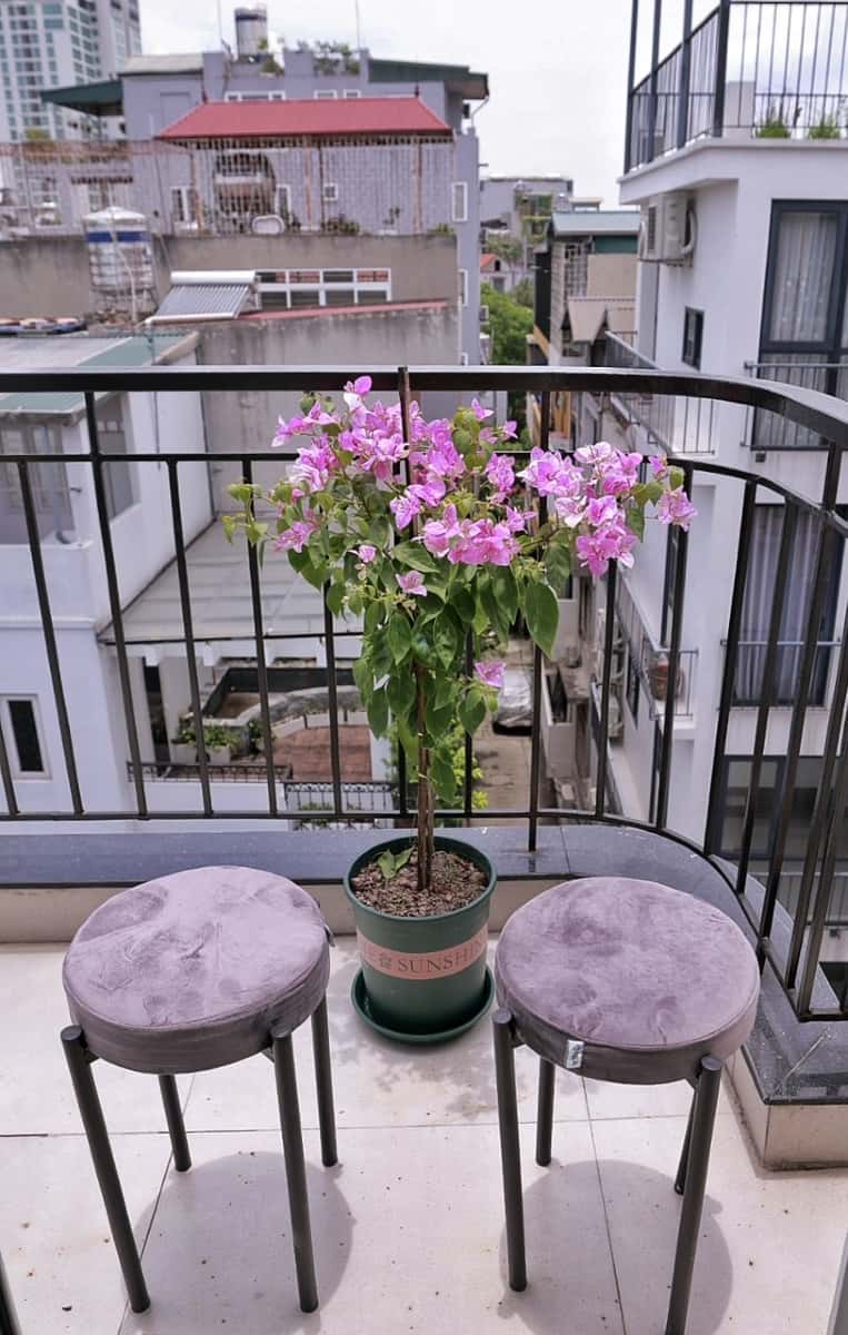 301 - Ann's House Đặng Thai Mai, Tây Hồ — ảnh 11