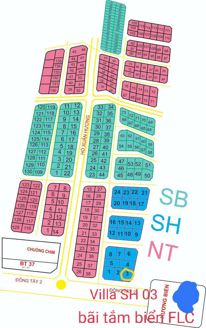 SH03, FLC Sầm Sơn — 照片 23