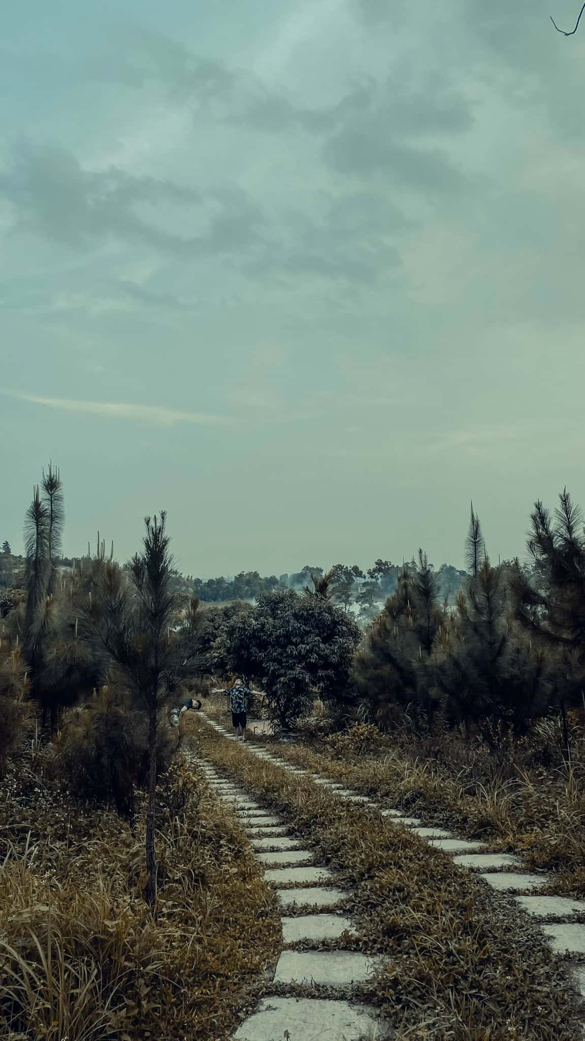 Green JP House, Sóc Sơn () — 照片 14