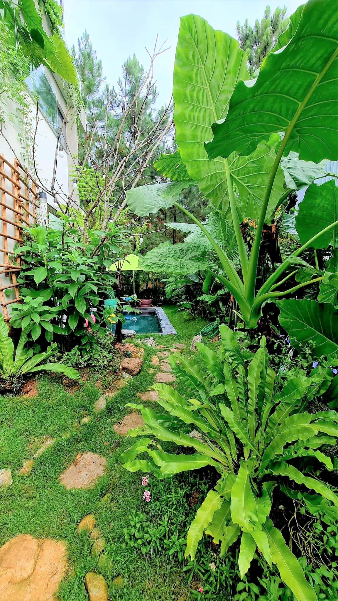 Villa GV06, Flamingo Đại Lải — photo 11
