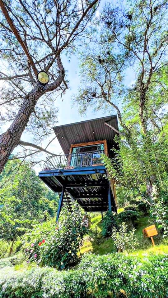 Nhà K2 (O'chen Villa) tại hồ Đồng Đò, Sóc Sơn — ảnh 6