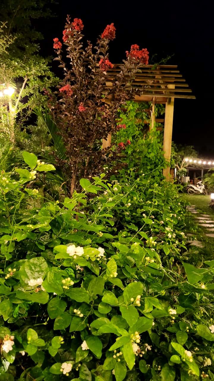 Carp House (Anna Little Garden) in Lâm Trường, Sóc Sơn — photo 11