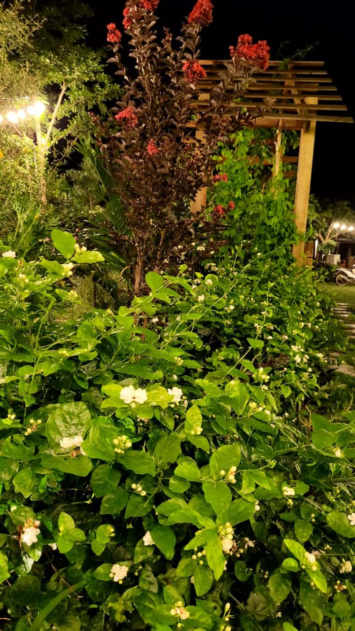 Pomegranate House (Anna Little Garden) in Lâm Trường, Sóc Sơn — photo 23