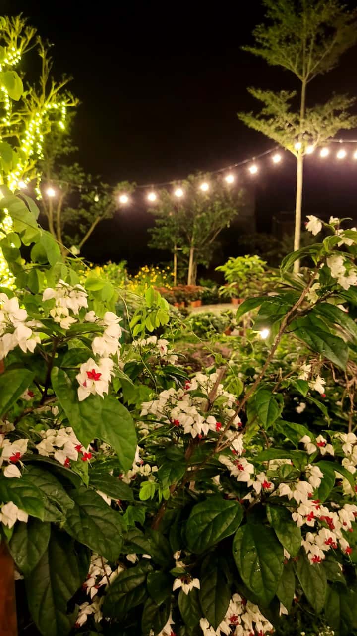 Nhà Chim Ri (Anna Little Garden) at Lâm Trường, Sóc Sơn — photo 13