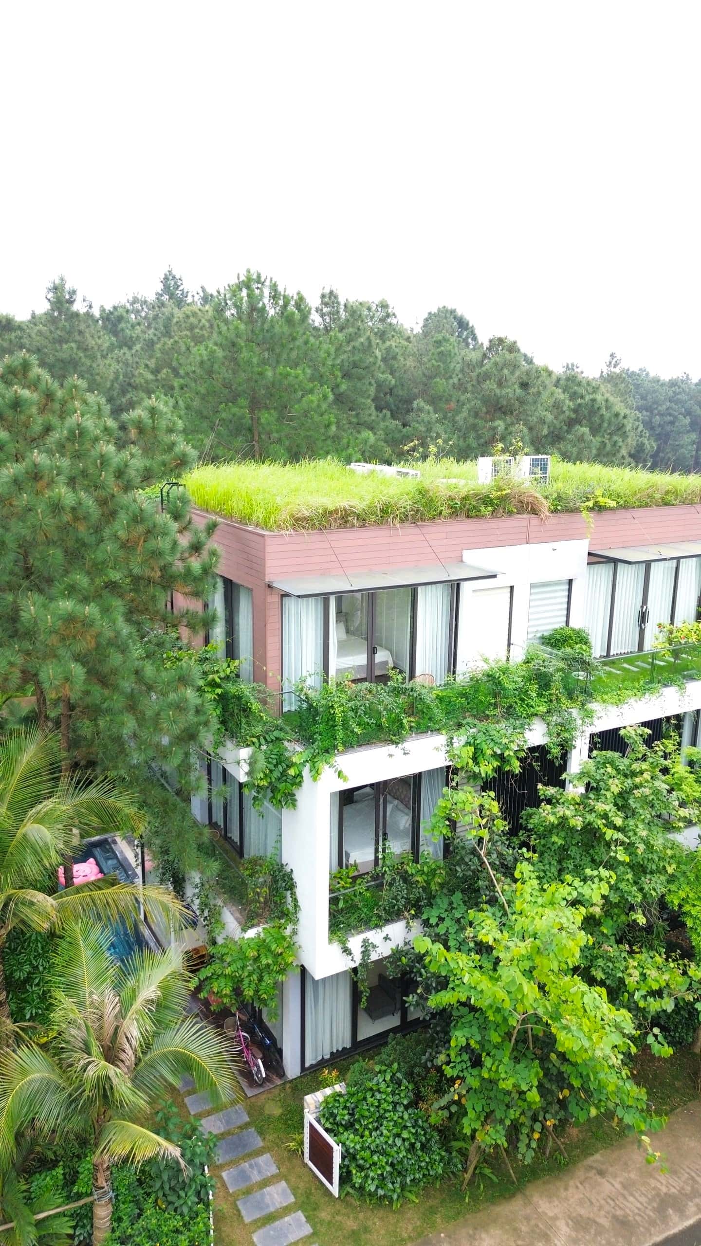 Villa GV35, Flamingo Đại Lải — photo 8