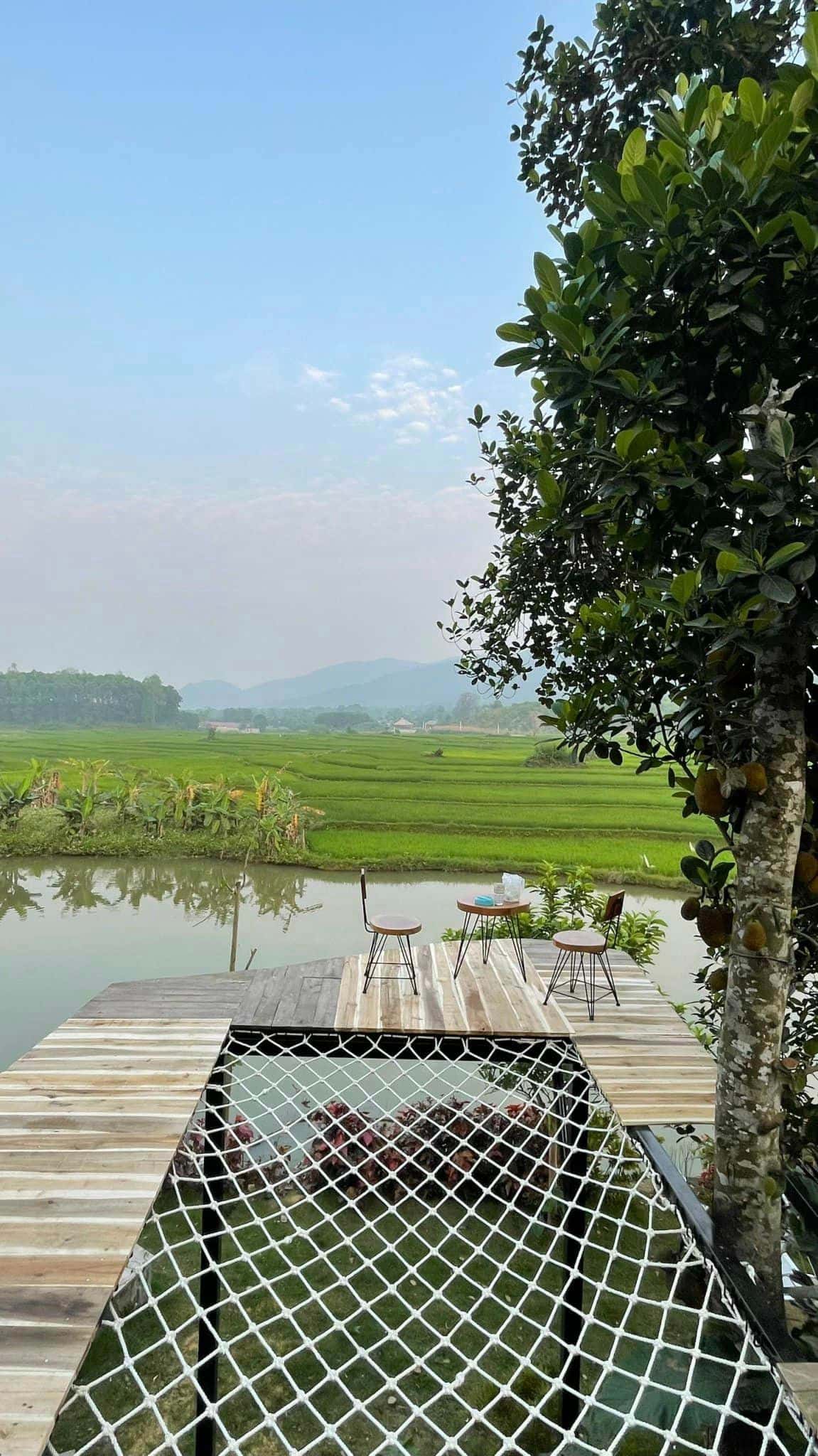 Võng lưỡi 