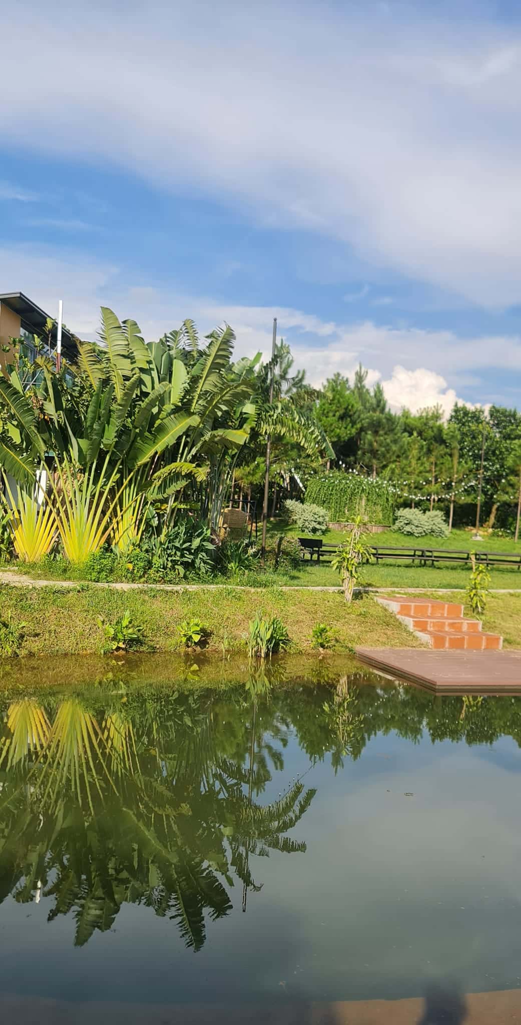 Happy House (Tropical Garden) in Lâm Trường, Sóc Sơn — photo 8