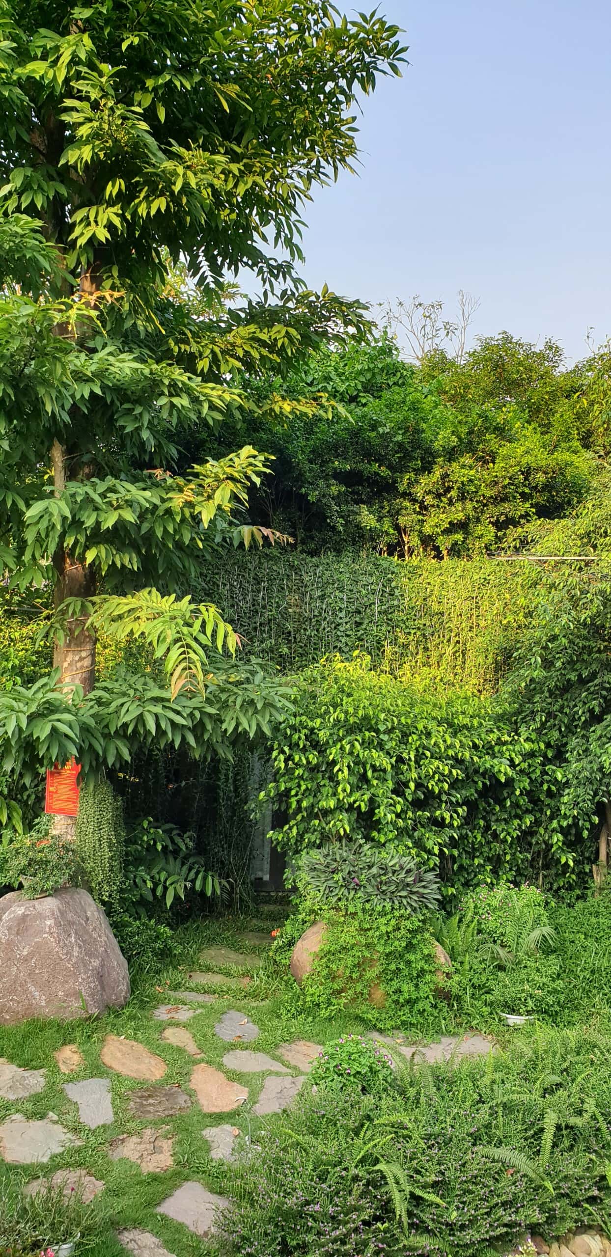 白色紫薇 Bungalow - Babylon House, Sóc Sơn — 照片 13
