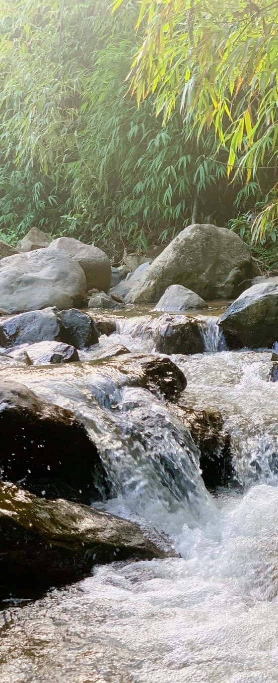 Hollymount Villa, Hoà Bình — ảnh 18